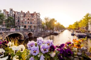 Amsterdam Netherlands canal at sunset with flowers in foreground Alexander Spatari RGiKtZ