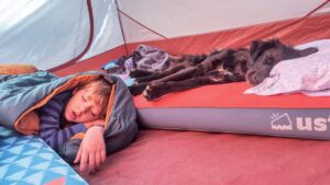 boy and dog in tent h tAsjST