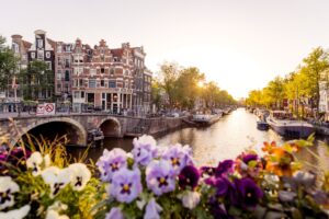 Amsterdam Netherlands canal at sunset with flowers in foreground Alexander Spatari 2BnUjQ